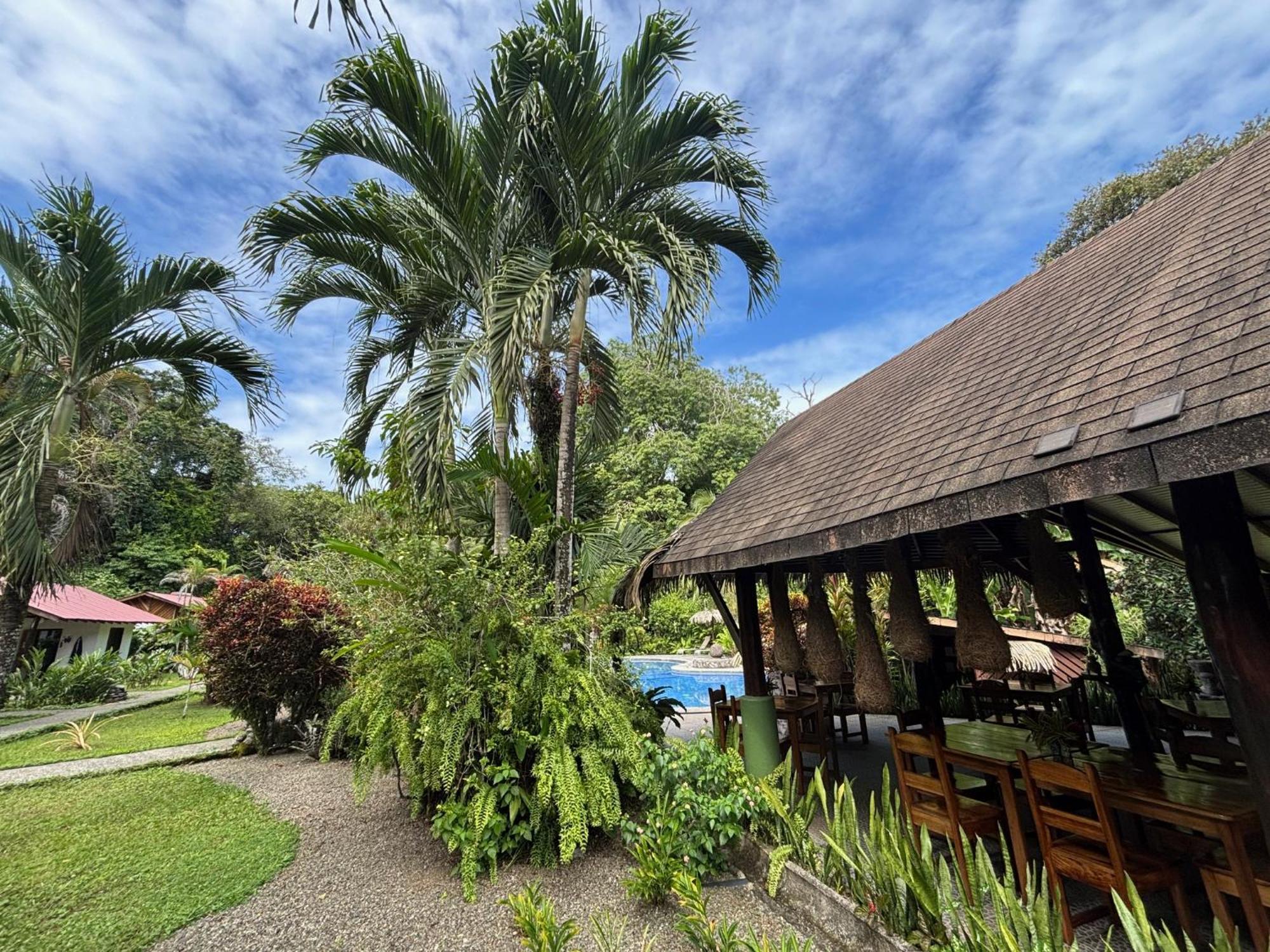 Hotel Suizo Loco Lodge & Resort Cahuita Εξωτερικό φωτογραφία