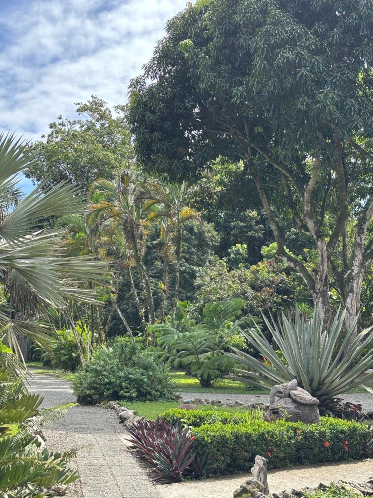 Hotel Suizo Loco Lodge & Resort Cahuita Εξωτερικό φωτογραφία