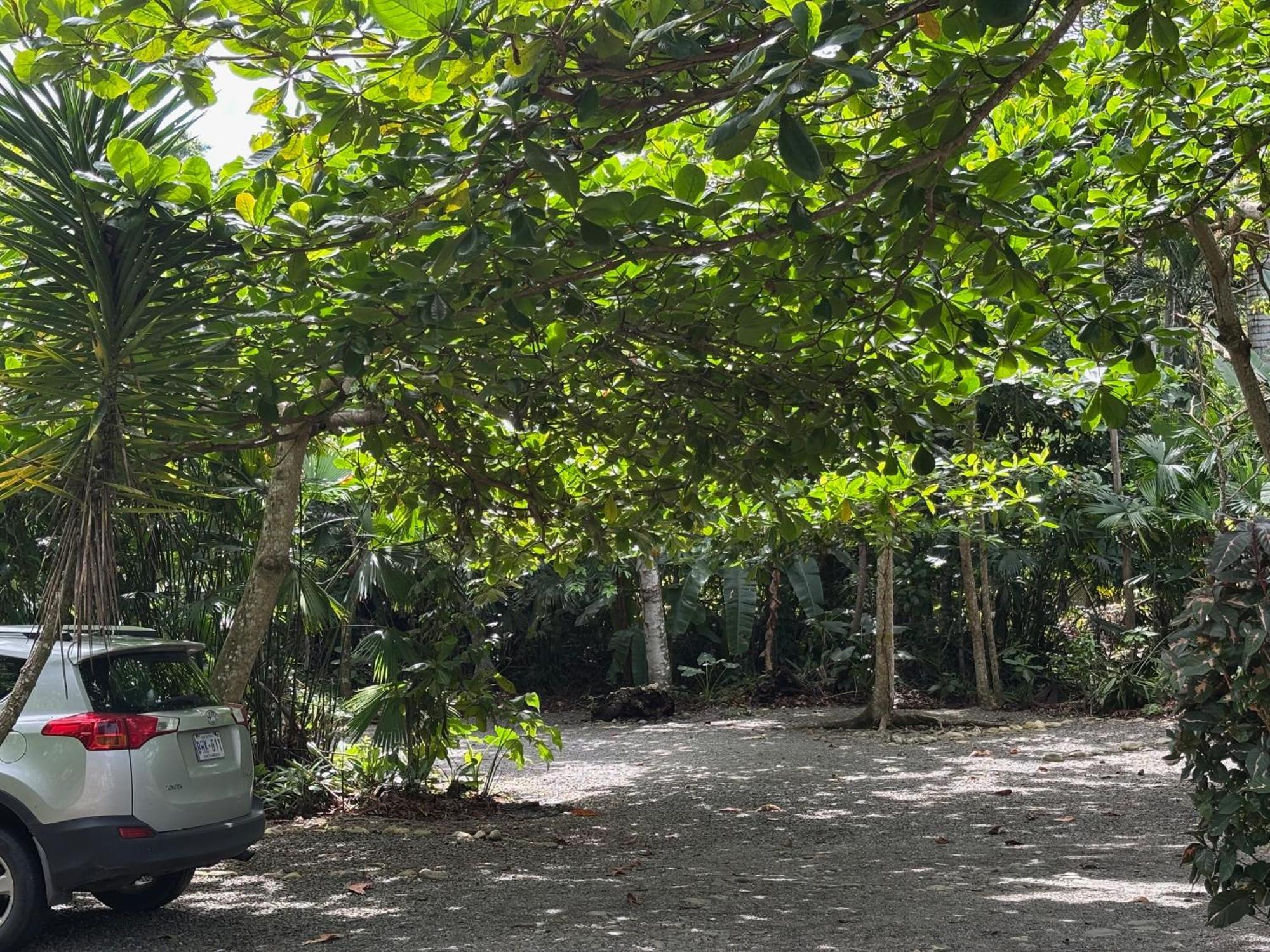 Hotel Suizo Loco Lodge & Resort Cahuita Εξωτερικό φωτογραφία