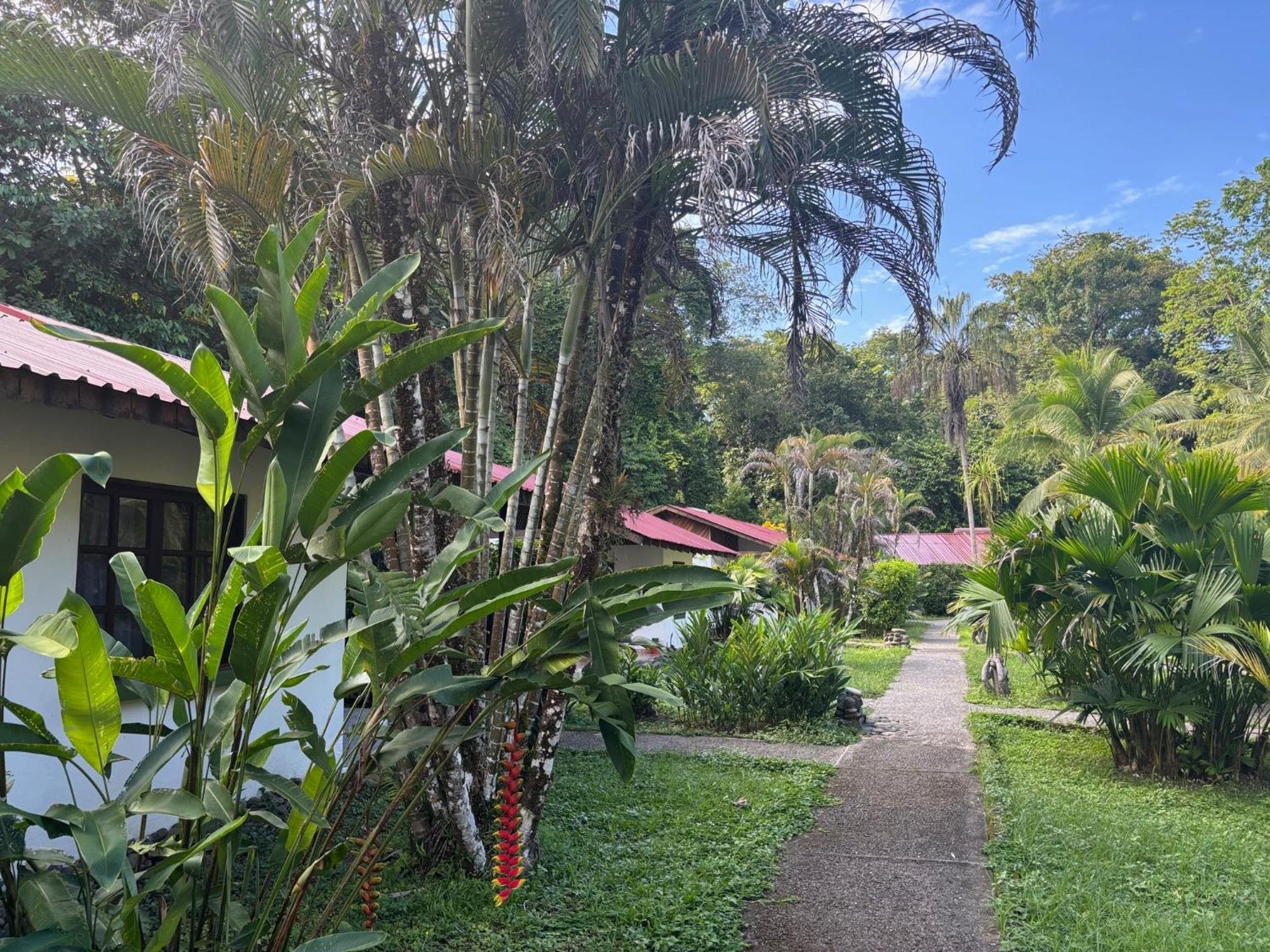 Hotel Suizo Loco Lodge & Resort Cahuita Εξωτερικό φωτογραφία