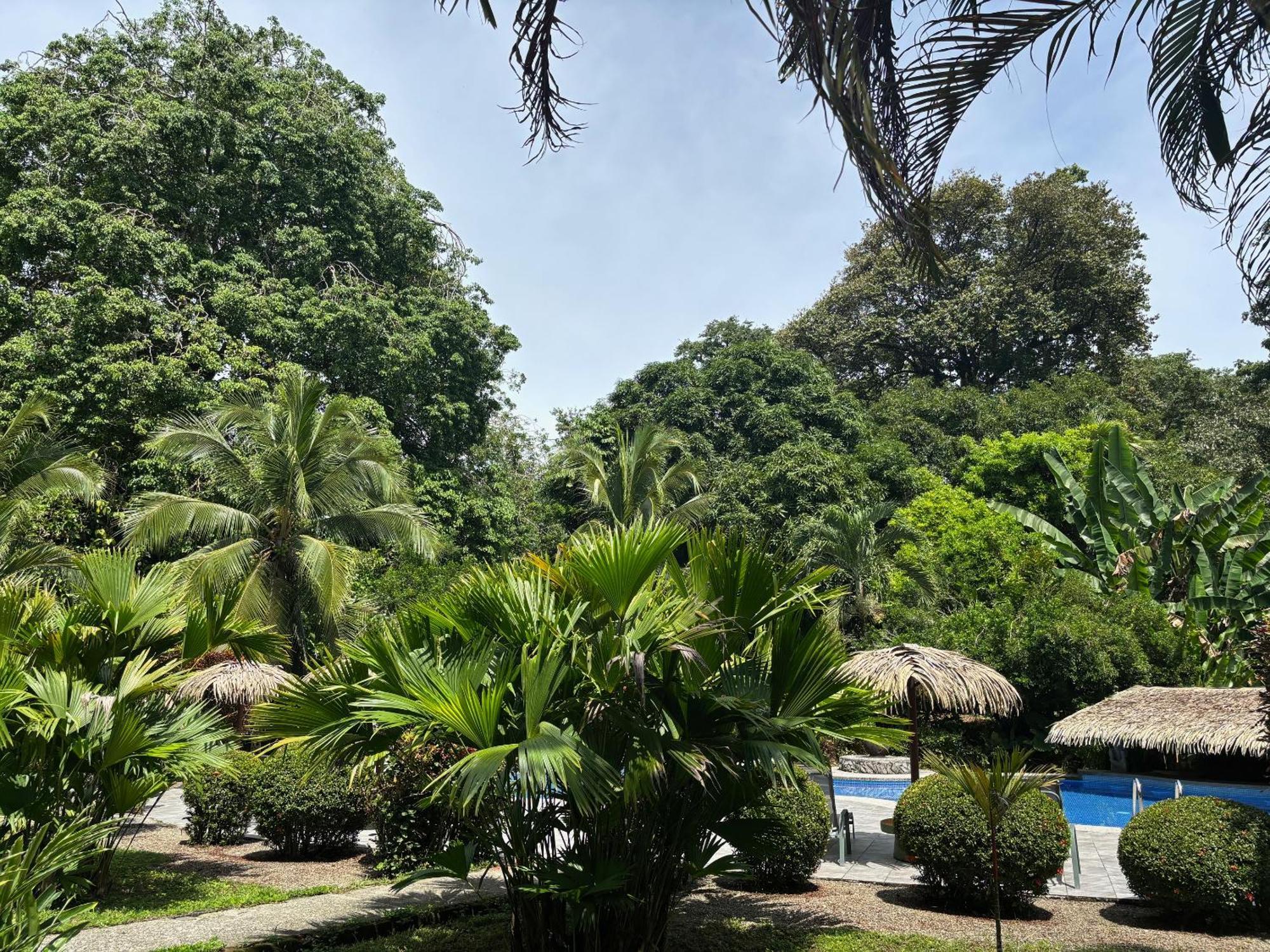 Hotel Suizo Loco Lodge & Resort Cahuita Εξωτερικό φωτογραφία