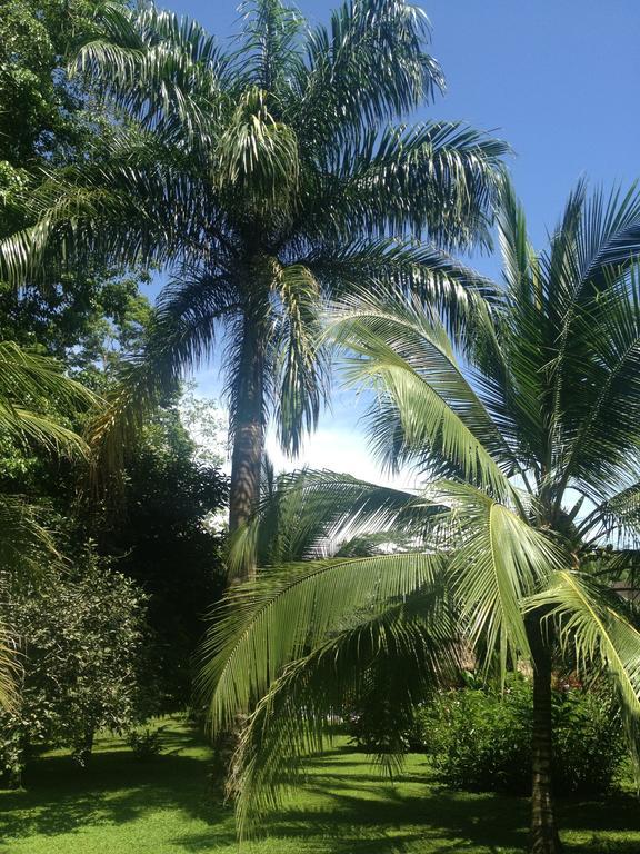Hotel Suizo Loco Lodge & Resort Cahuita Δωμάτιο φωτογραφία